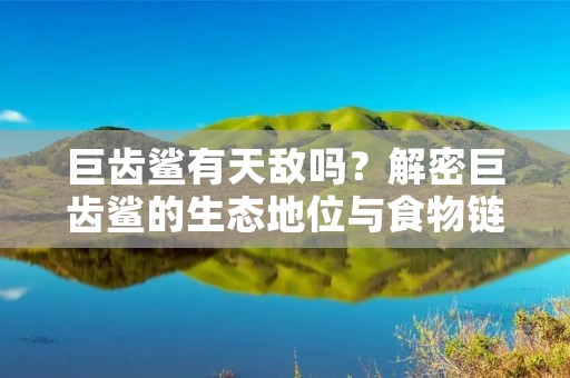 巨齿鲨有天敌吗?解密巨齿鲨的生态地位与食物链 巨齿鲨有天敌吗?解密巨齿鲨的生态地位与食物链