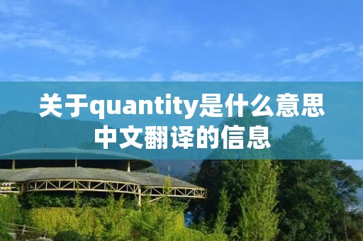 关于quantity是什么意思中文翻译的信息