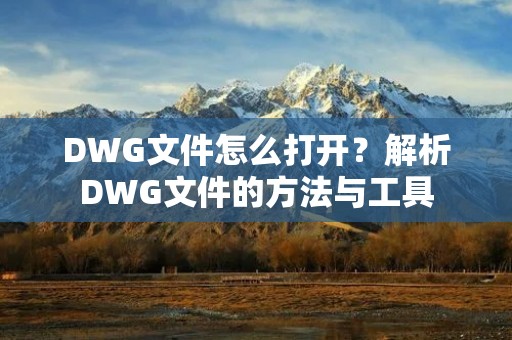 DWG文件怎么打开？解析DWG文件的方法与工具