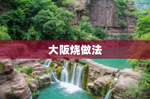 大阪烧做法：传统美食的独特魅力