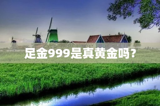 足金999是真黄金吗? 足金999是真黄金吗?