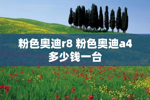 粉色奥迪r8 粉色奥迪a4多少钱一台 粉色奥迪r8 粉色奥迪a4多少钱一台