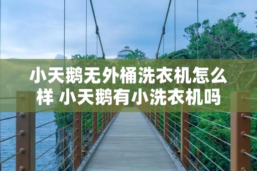 小天鹅无外桶洗衣机怎么样 小天鹅有小洗衣机吗