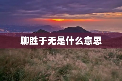 聊胜于无是什么意思