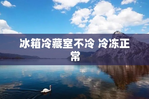 冰箱冷藏室不冷 冷冻正常：解决问题的方法与注意事项