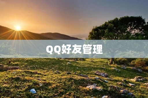 QQ好友管理：让你的社交生活更加便捷