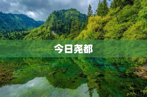今日尧都：追寻古都的文化魅力与现代发展的活力