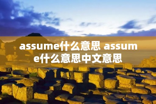 assume什么意思 assume什么意思中文意思