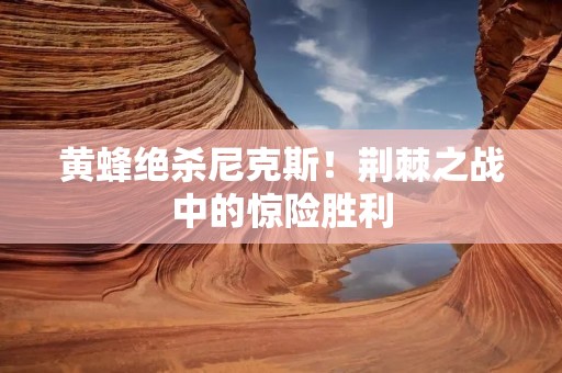 黄蜂绝杀尼克斯!荆棘之战中的惊险胜利 黄蜂绝杀尼克斯!荆棘之战中的惊险胜利