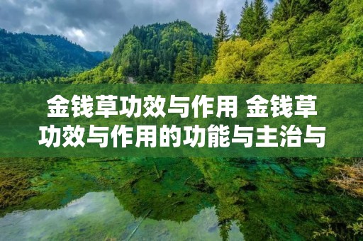 金钱草功效与作用 金钱草功效与作用的功能与主治与用量