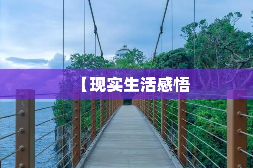 【现实生活感悟:如何看待人生的起伏和坎坷】500字