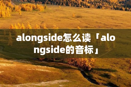 alongside怎么读「alongside的音标」