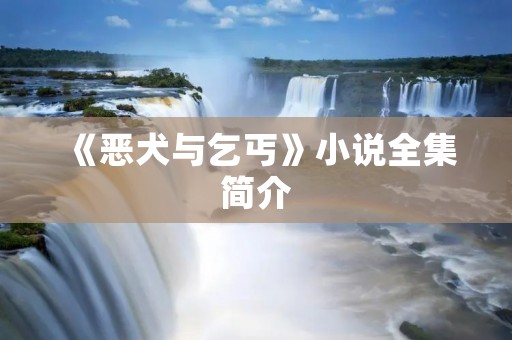 《恶犬与乞丐》小说全集简介