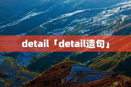 detail「detail造句」