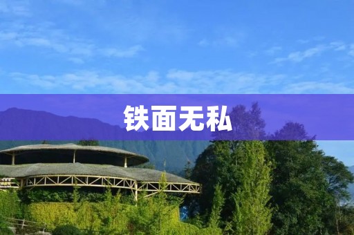 铁面无私:一位真正公正无私的英雄
