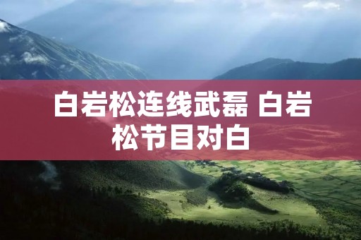 白岩松连线武磊 白岩松节目对白