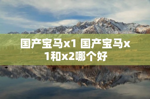 国产宝马x1 国产宝马x1和x2哪个好 国产宝马x1 国产宝马x1和x2哪个好