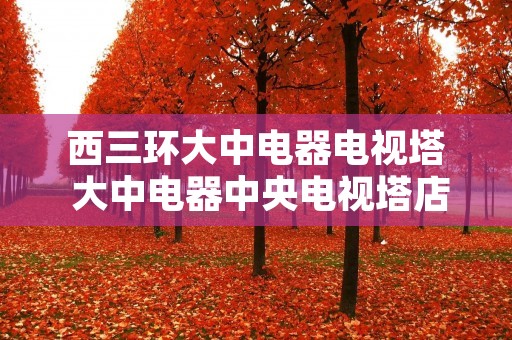 西三环大中电器电视塔 大中电器中央电视塔店 西三环大中电器电视塔 大中电器中央电视塔店