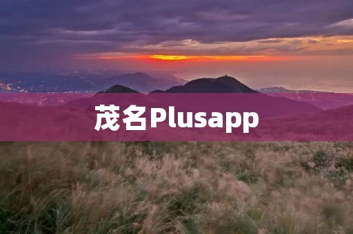 茂名Plusapp：打造智慧城市的新引擎