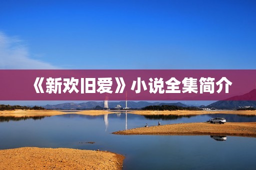 《新欢旧爱》小说全集简介