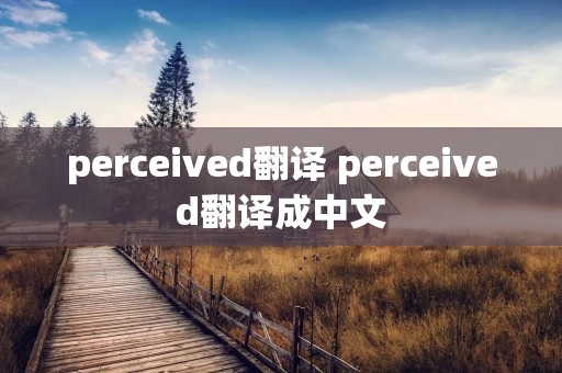 perceived翻译 perceived翻译成中文 perceived翻译 perceived翻译成中文