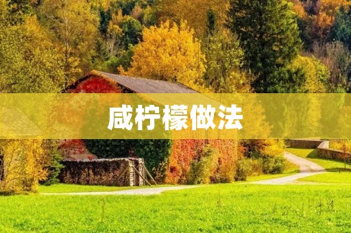 咸柠檬做法:酸爽口感,别有风味的自制美食 咸柠檬做法:酸爽口感,别有风味的自制美食