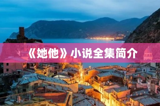 《她他》小说全集简介