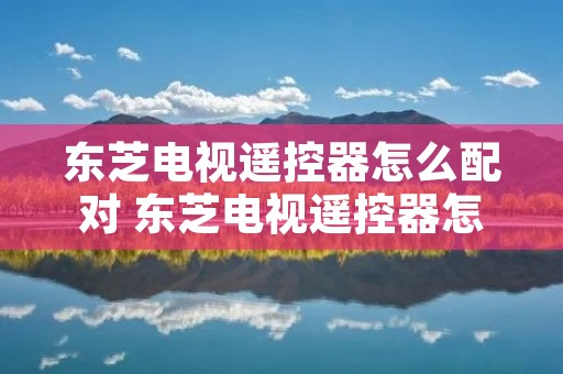 东芝电视遥控器怎么配对 东芝电视遥控器怎么配对不上
