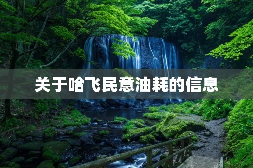 关于哈飞民意油耗的信息