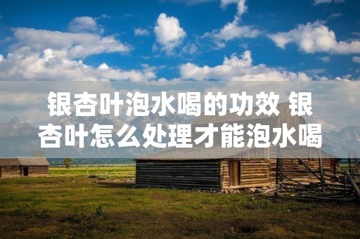 银杏叶泡水喝的功效 银杏叶怎么处理才能泡水喝