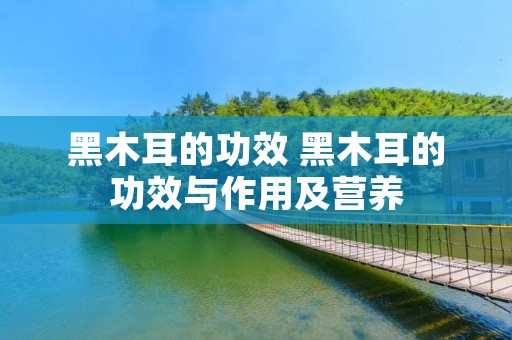 黑木耳的功效 黑木耳的功效与作用及营养