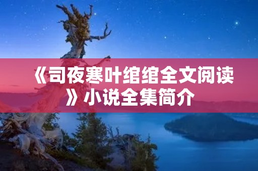 《司夜寒叶绾绾全文阅读》小说全集简介