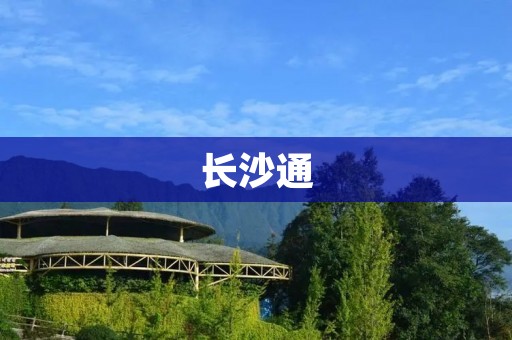 长沙通：数字化城市管理新时代
