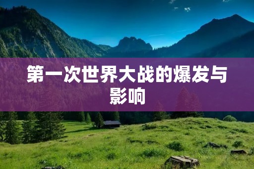 第一次世界大战的爆发与影响