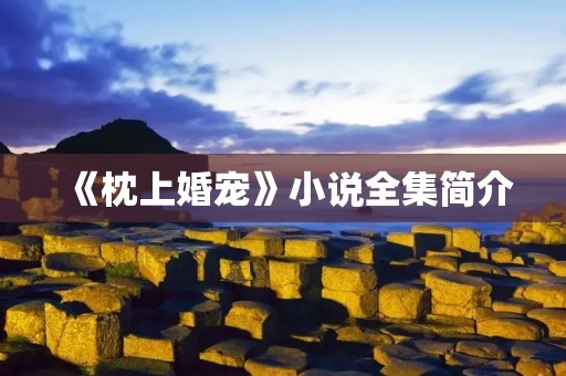 《枕上婚宠》小说全集简介