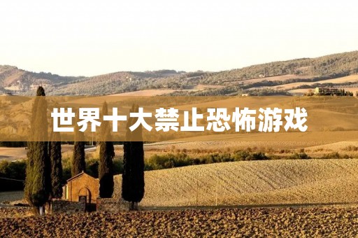 世界十大禁止恐怖游戏:让你不敢再玩的恐怖游戏集锦 世界十大禁止恐怖游戏:让你不敢再玩的恐怖游戏集锦