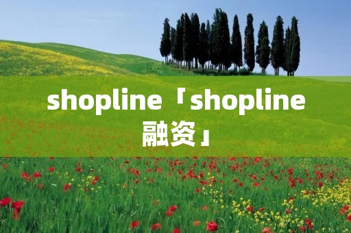 shopline「shopline融资」