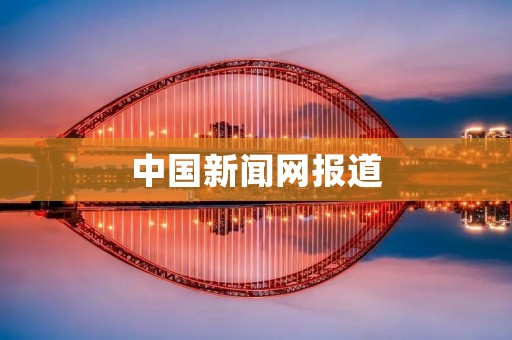 中国新闻网报道：中国经济持续增长，为全球经济注入新动力