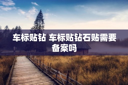 车标贴钻 车标贴钻石贴需要备案吗 车标贴钻 车标贴钻石贴需要备案吗