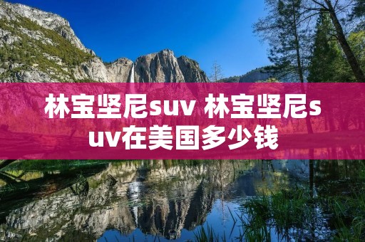 林宝坚尼suv 林宝坚尼suv在美国多少钱