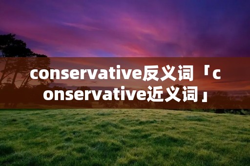 conservative反义词「conservative近义词」 conservative反义词「conservative近义词」