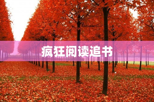 疯狂阅读追书：探索无尽的书海，畅享阅读的乐趣