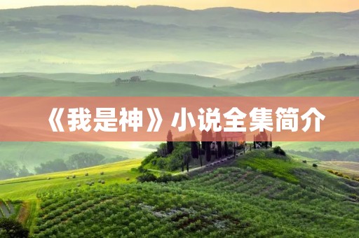 《我是神》小说全集简介