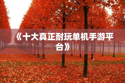 《十大真正耐玩单机手游平台》：让你找到最适合你的游戏平台！