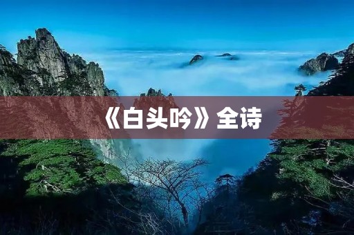 《白头吟》全诗:一首讴歌爱情与生活的诗篇