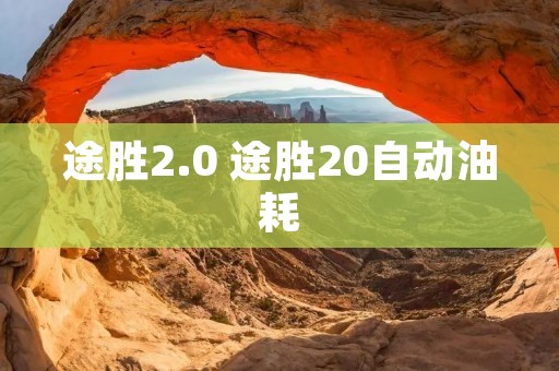 途胜2.0 途胜20自动油耗 途胜2.0 途胜20自动油耗