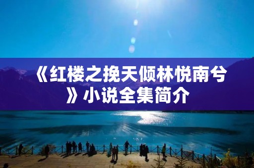 《红楼之挽天倾林悦南兮》小说全集简介 《红楼之挽天倾林悦南兮》小说全集简介