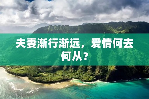 夫妻渐行渐远，爱情何去何从？