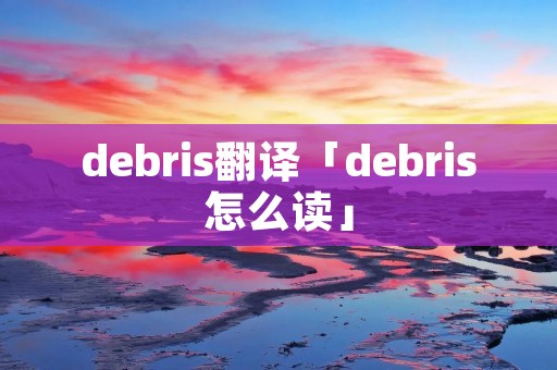 debris翻译「debris怎么读」