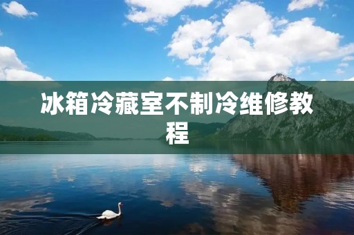 冰箱冷藏室不制冷维修教程：解决冰箱冷藏室不制冷的常见问题及维修方法